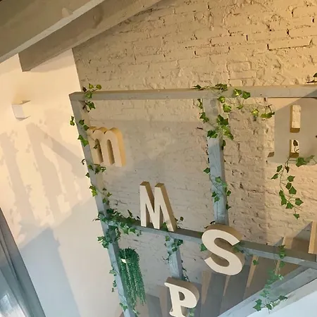 Florista Bonito Alojamiento Bien Comunicado *