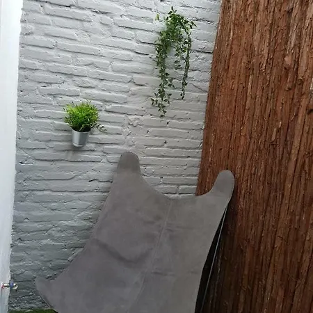 Cozy Florista Walencja