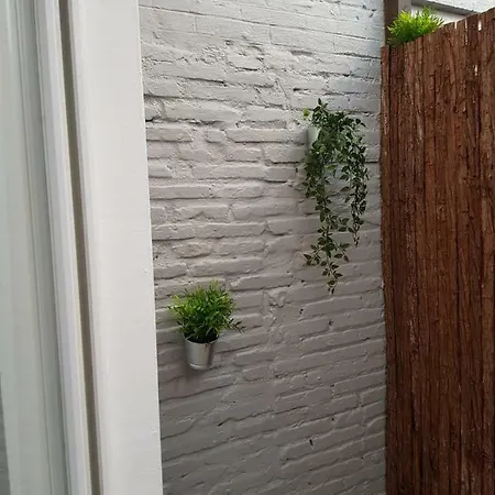 Cozy Florista Pensjonat Walencja