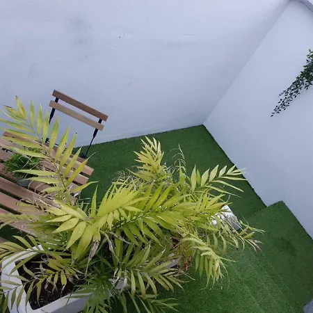 Pensjonat Cozy Florista